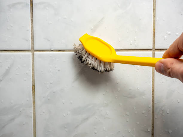 Best Best Mold Removal Companies  in Waimalu, HI