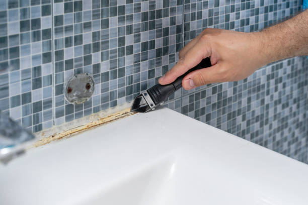 Best Black Mold Removal  in Waimalu, HI