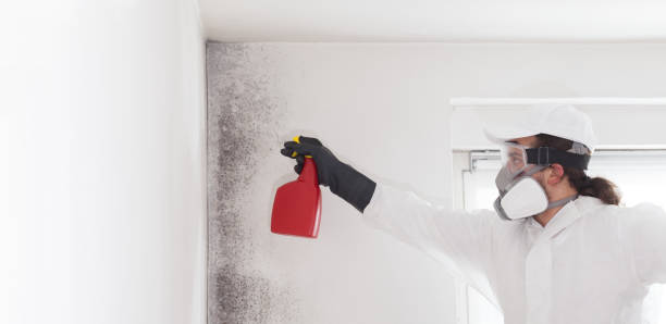 Best Crawl Space Mold Removal  in Waimalu, HI
